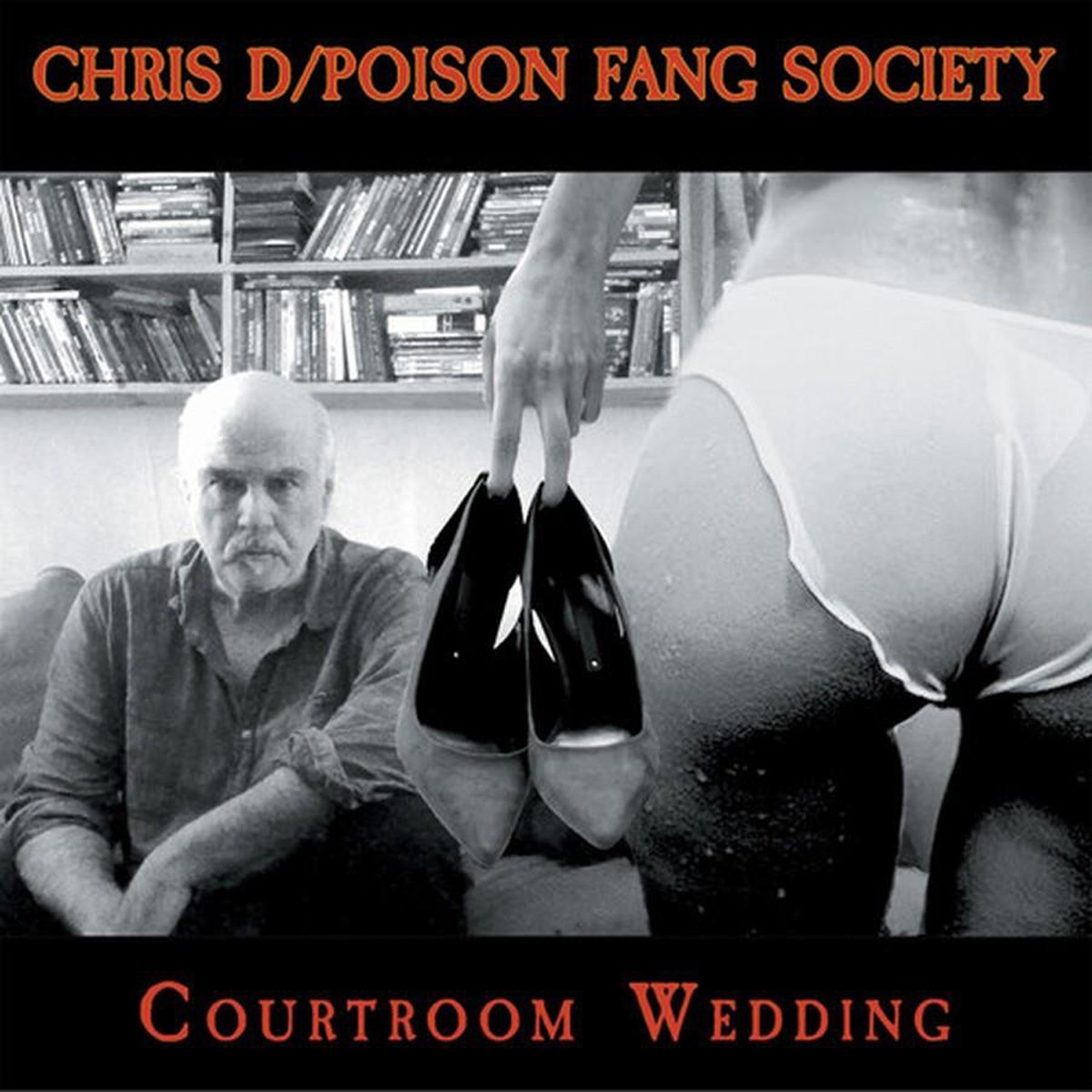 Chris D - Poison Fang Society - Courtroom Wedding