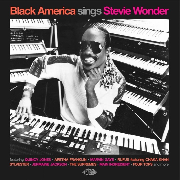 Various Artists - Black America Sings Stevie Wonder