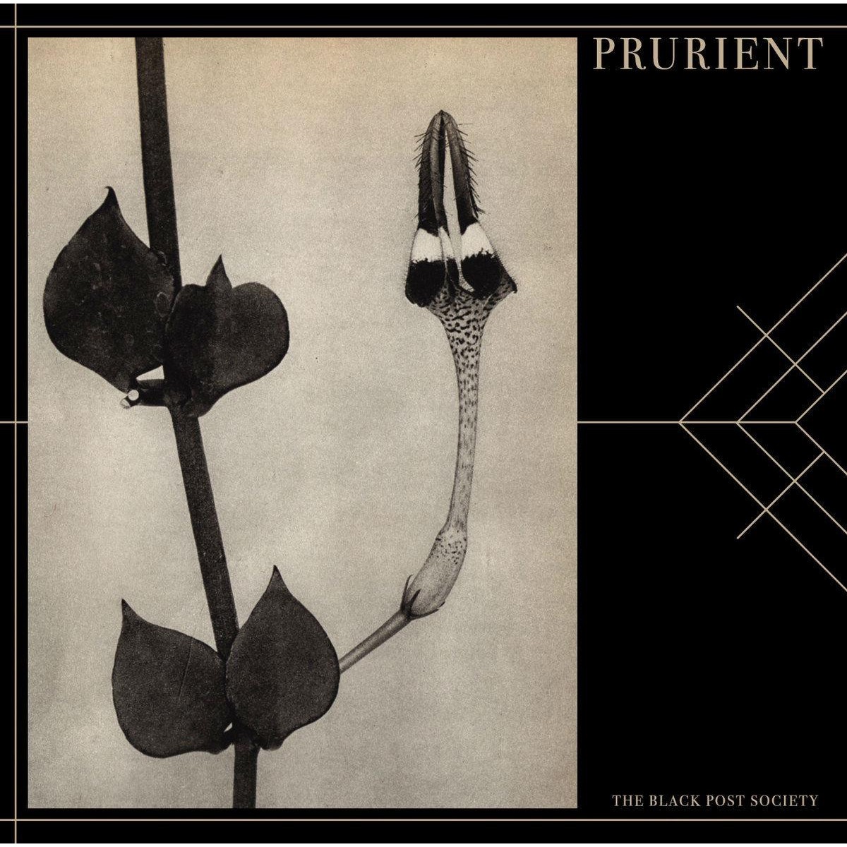 Prurient - Black Post Society