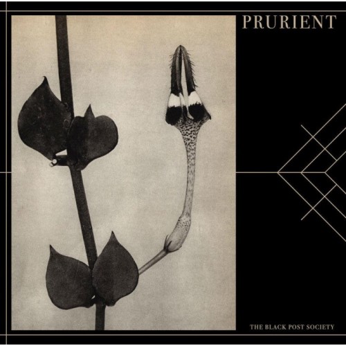 Prurient - Black Post Society