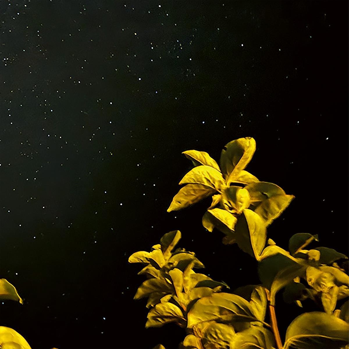 Thomas Peter - Changing Bodies (Limited Vinyl With 12" Inlay)