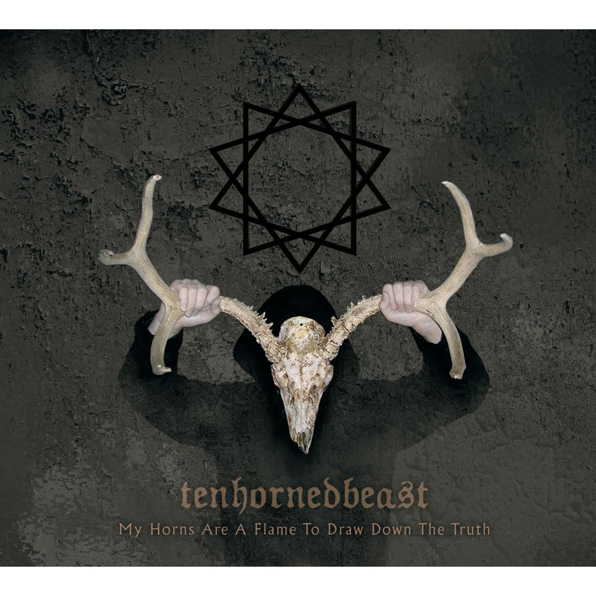 TenHornedBeast - My Horns Are A Flame To Draw Down The Truth