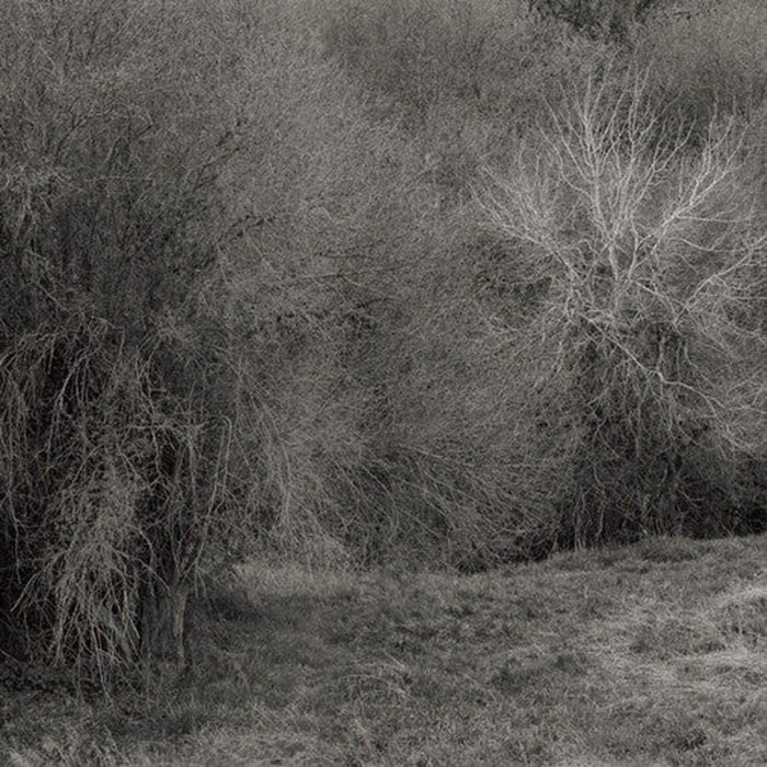 K. Leimer - Atrophies For Piano