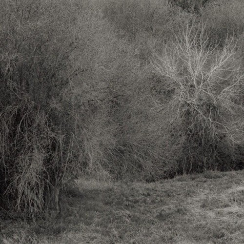 K. Leimer - Atrophies For Piano