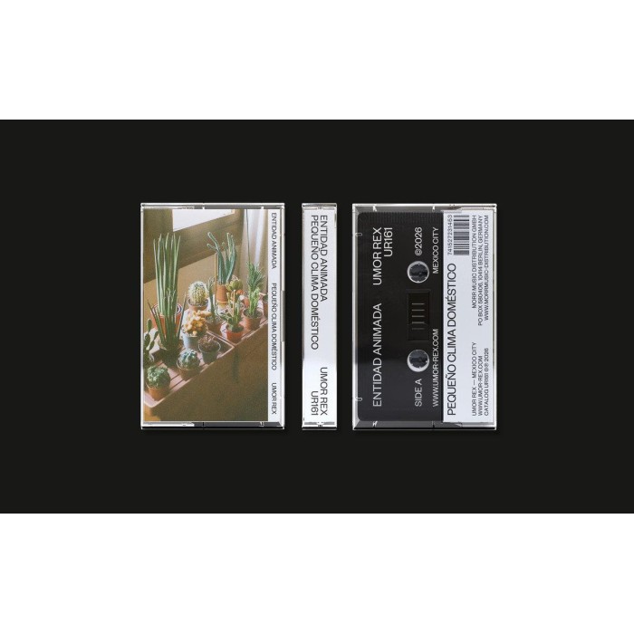 Entidad Animada - Pequeno Clima Doméstico