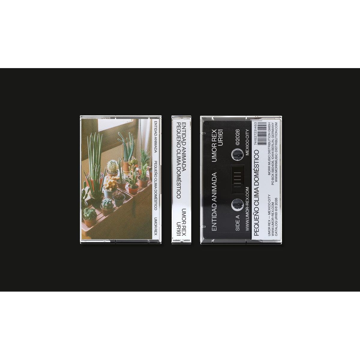 Entidad Animada - Pequeno Clima Doméstico