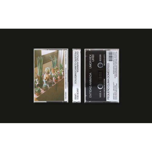 Entidad Animada - Pequeno Clima Doméstico