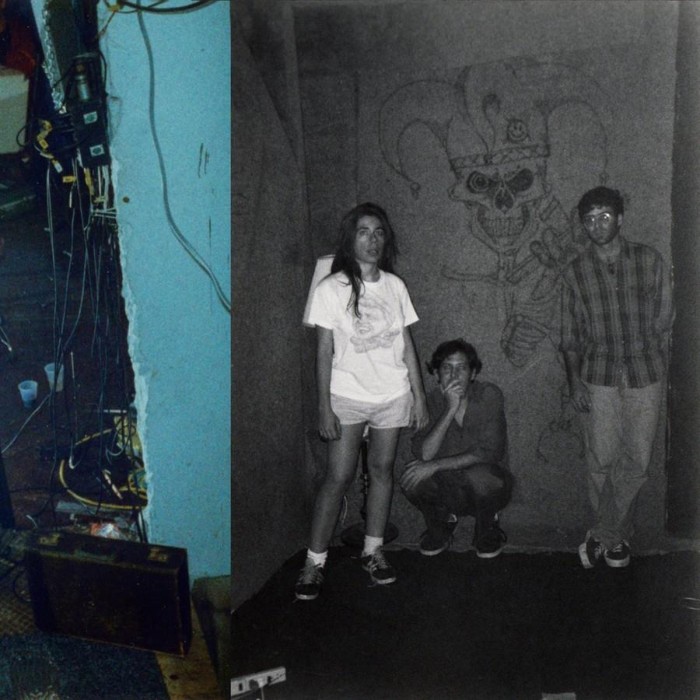 Harry Pussy - You'll Never Play This Town Again