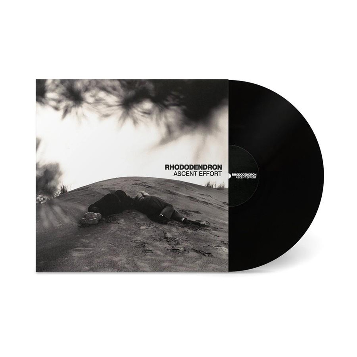 Rhododendron - Ascent Effort