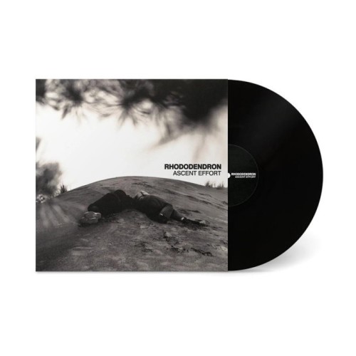 Rhododendron - Ascent Effort