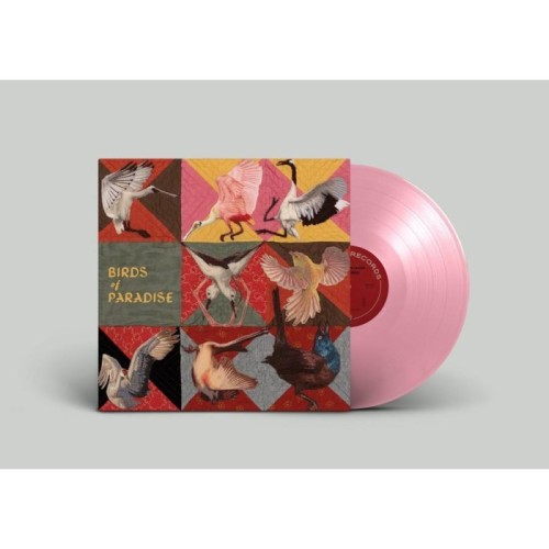 Thomas Dollbaum - Birds Of Paradise (Roseate Spoonbill Pink Vinyl)