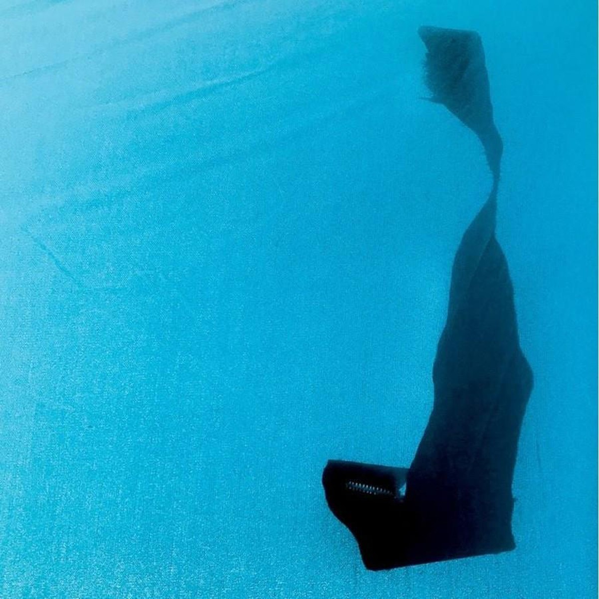 Unwed Sailor - High Remembrance