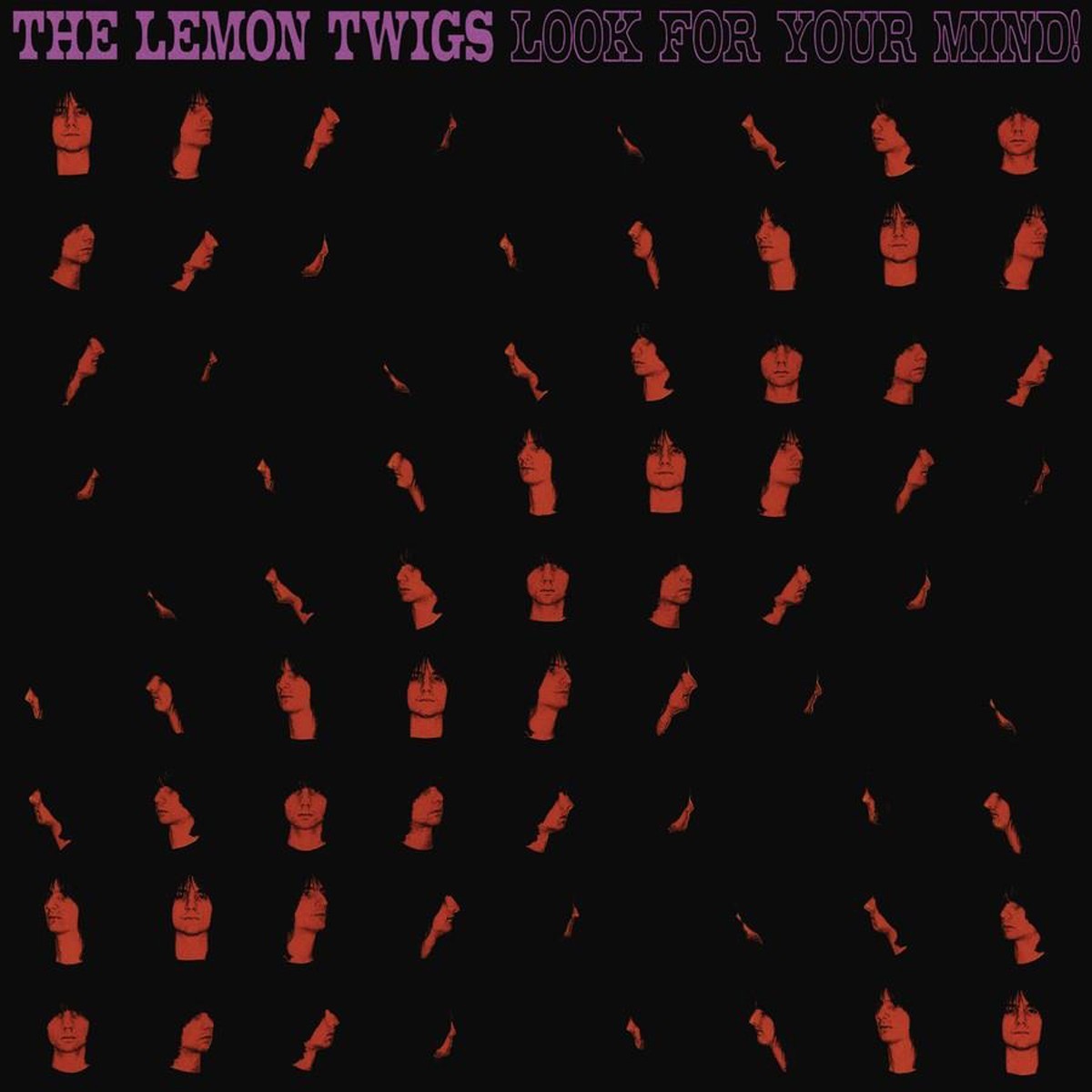 The Lemon Twigs - Look For Your Mind!