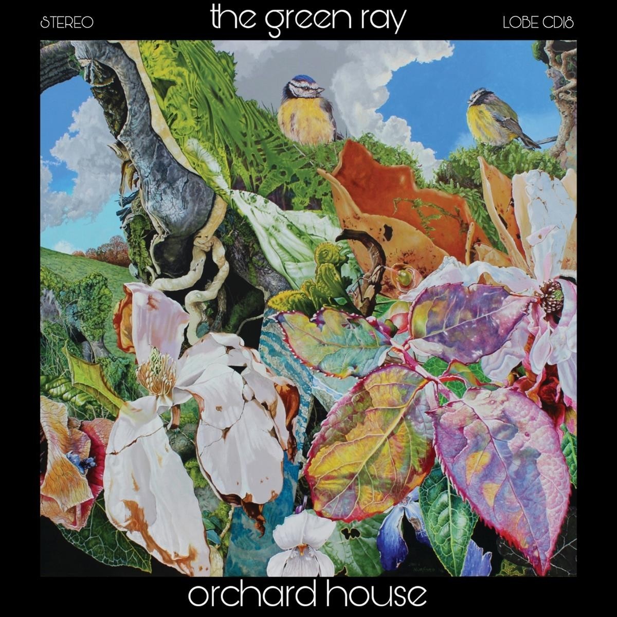 Green Ray - Orchard House