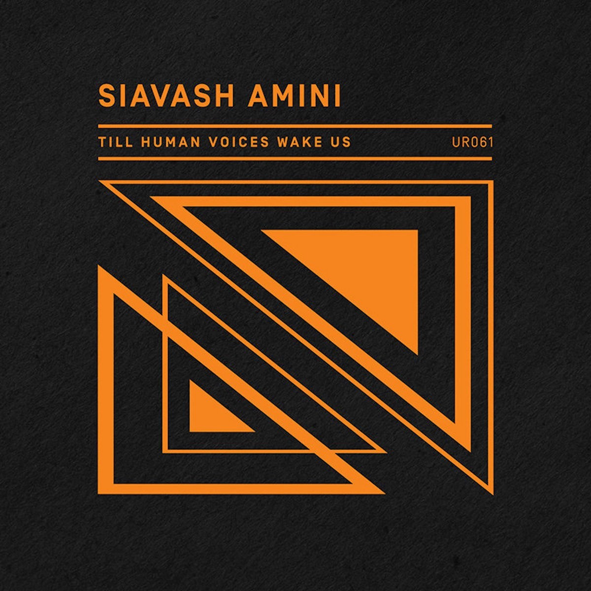Siavash Amini - Till Human Voices Wake Us