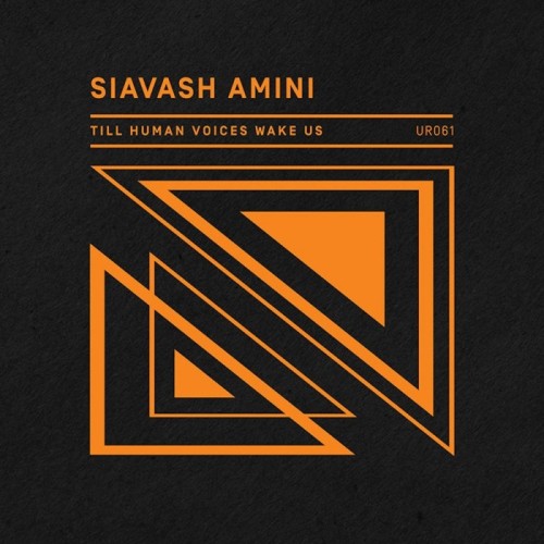 Siavash Amini - Till Human Voices Wake Us