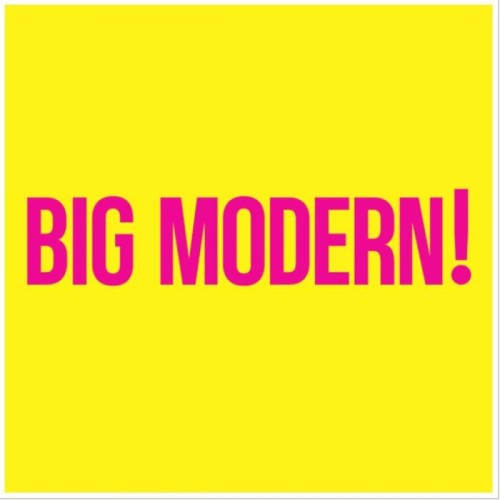 Goose - Big Modern!