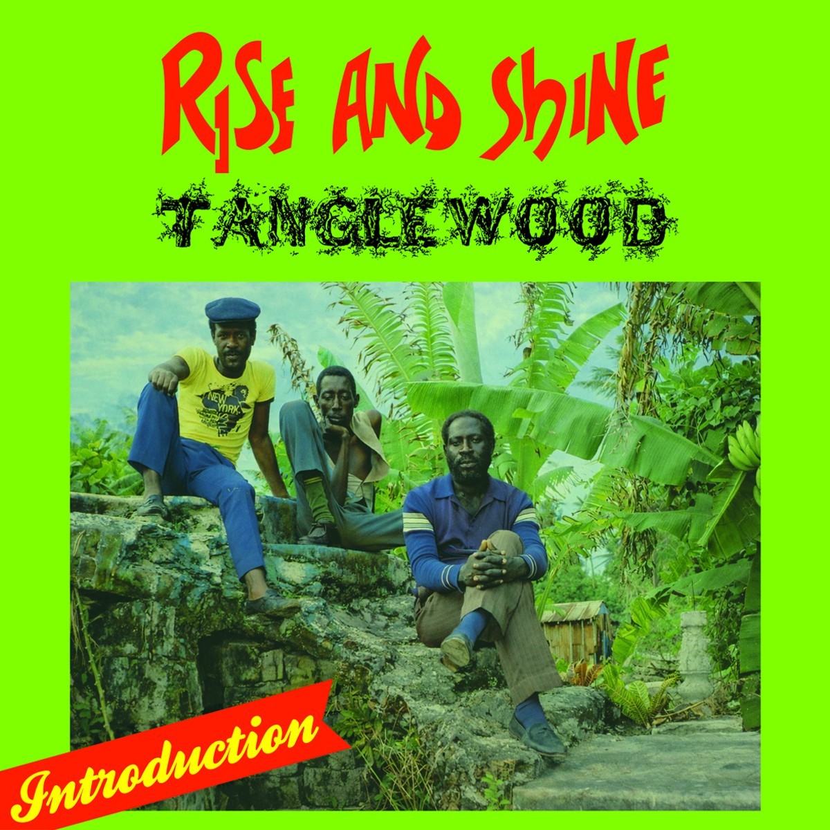 Tanglewood - Rise And Shine