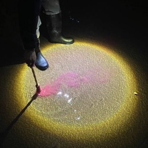 Diles Que No Me Maten - Escrito En Agua (Sangre Luz Vinyl)