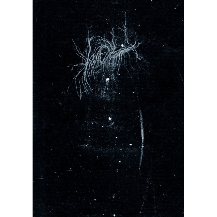 My Heart, An Inverted Flame - My Death Is More Beautiful Than Your Life