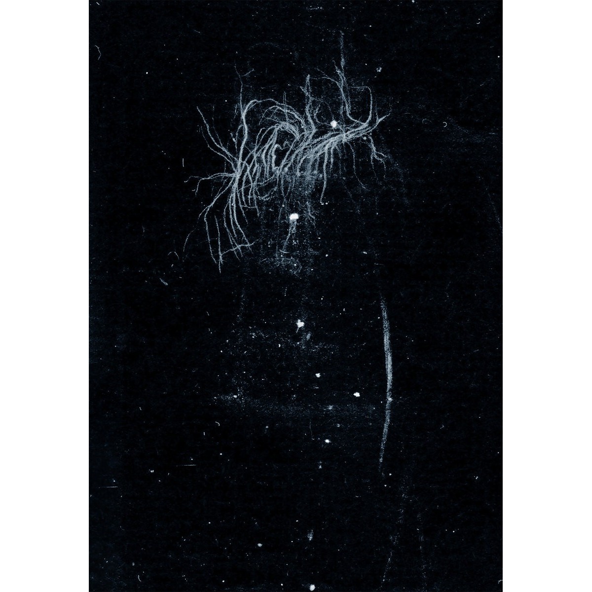 My Heart, An Inverted Flame - My Death Is More Beautiful Than Your Life