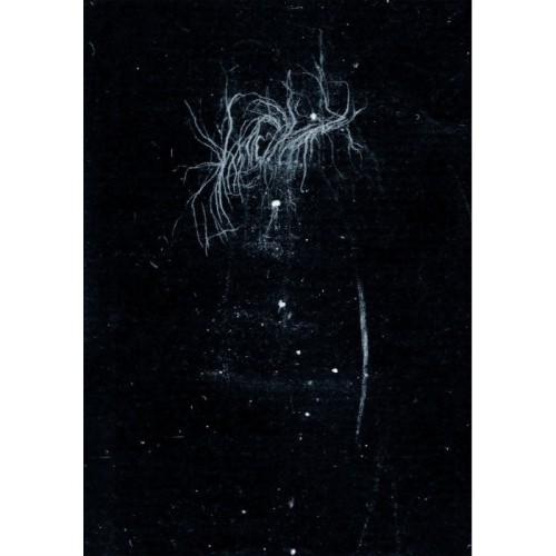 My Heart, An Inverted Flame - My Death Is More Beautiful Than Your Life