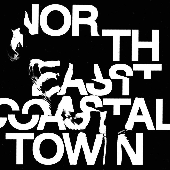 Life - North East Coastal Town (Pink Vinyl)