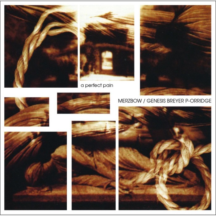 Merzbow & Genesis Breyer P-Orridge - A Perfect Pain