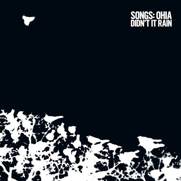 Songs: Ohia - Didn’t It Rain (Revinyl Edition)