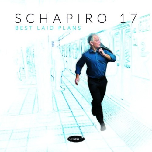 Schapiro 17 - Best Laid Plans