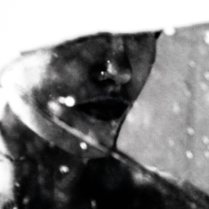 Purgate - Leavings