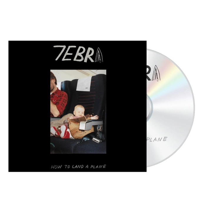 7Ebra - How To Land A Plane