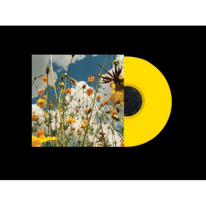 Tasha - You Are Spring! (Yellow Wildflower Vinyl)