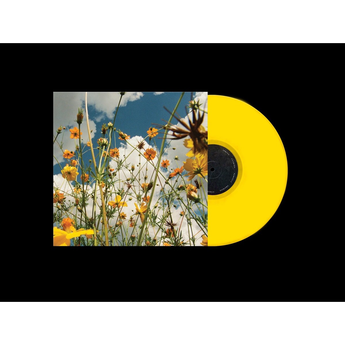 Tasha - You Are Spring! (Yellow Wildflower Vinyl)