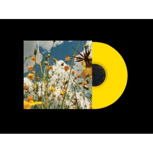 Tasha - You Are Spring! (Yellow Wildflower Vinyl)