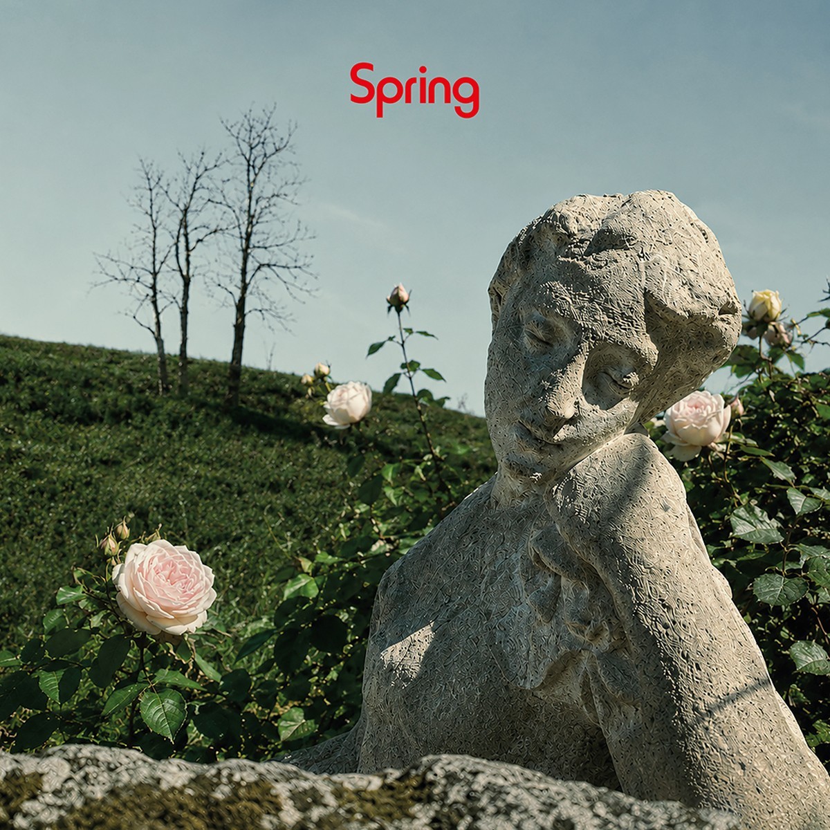 Spring - Spring