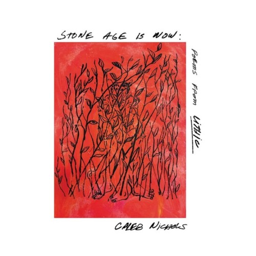 Caleb Nichols - Stone Age Is Now. Poems From Lithic