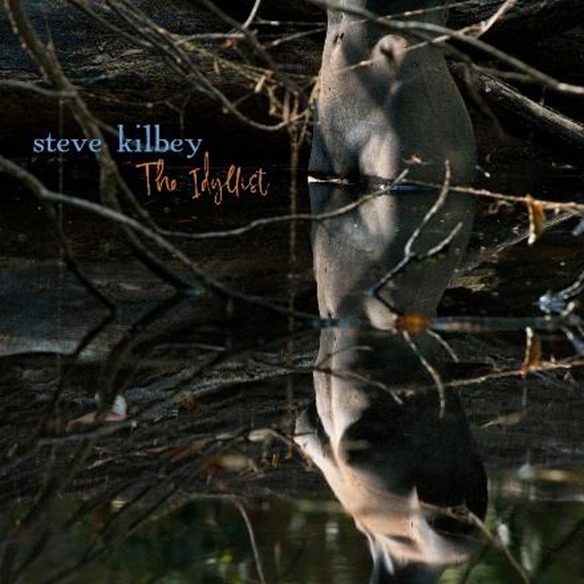 Steve Kilbey - Idyllist