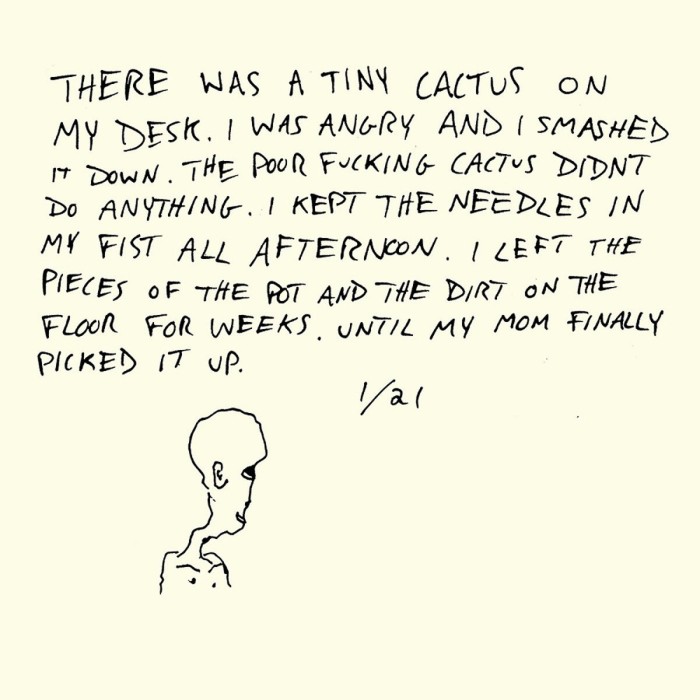 Horse Jumper Of Love - Horse Jumper Of Love (Clear Cassette)