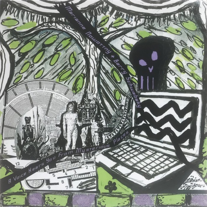 Barry Schwabsky & Marianne Nowottny - A Voice Hears You From Mysterious Places