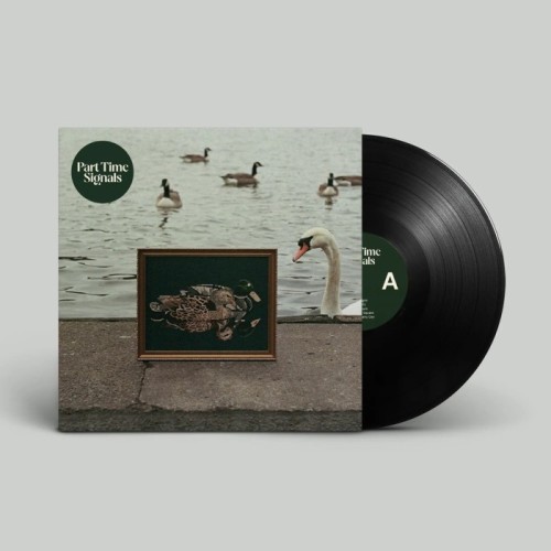 Part Time Signals - Ducks Back, Baby