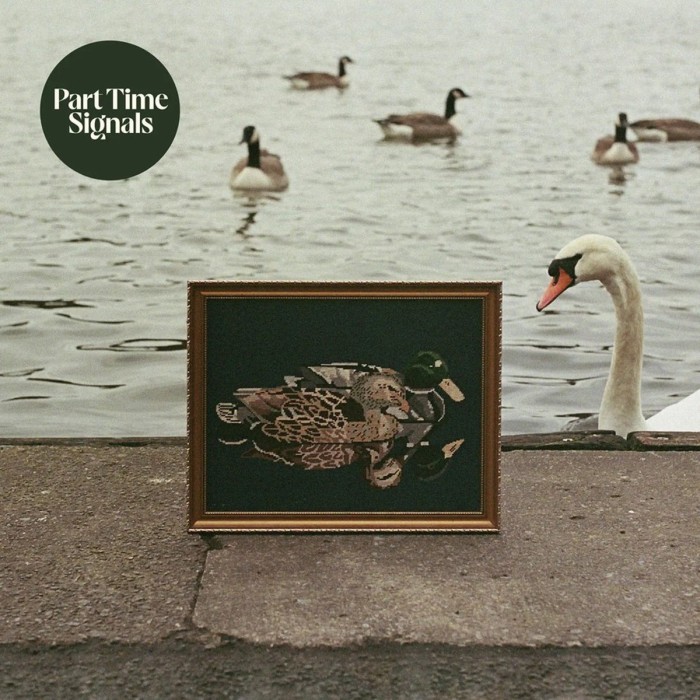 Part Time Signals - Ducks Back, Baby