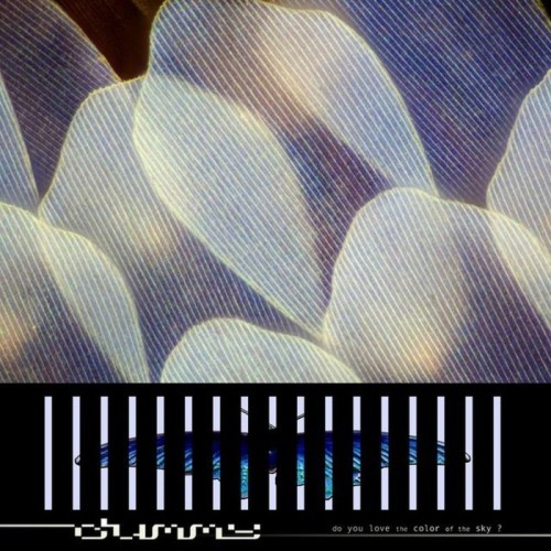 Dummy - Do You Love The Color Of The Sky? (Neon Yellow Vinyl With Download Card)