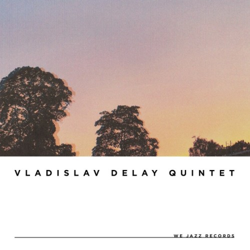 Vladislav Delay - Vd5