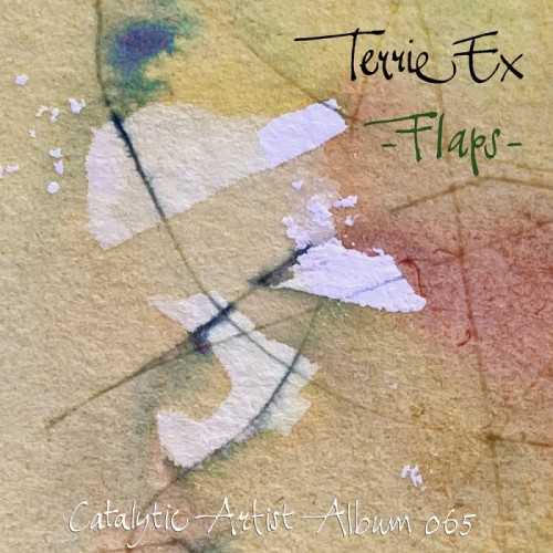 Terrie Ex - Flaps !