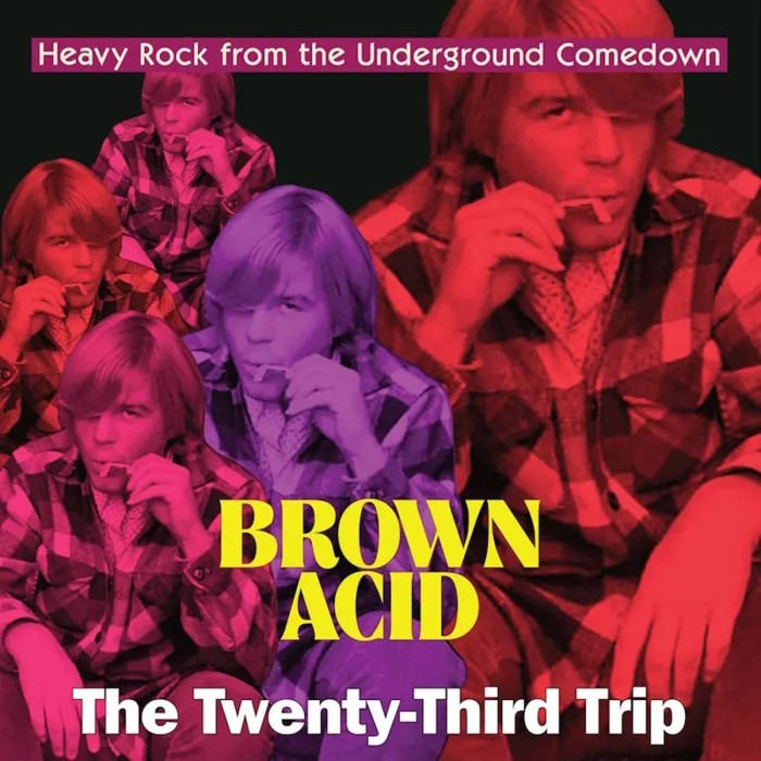 Various Artists - Brown Acid - The Twenty-Third Trip
