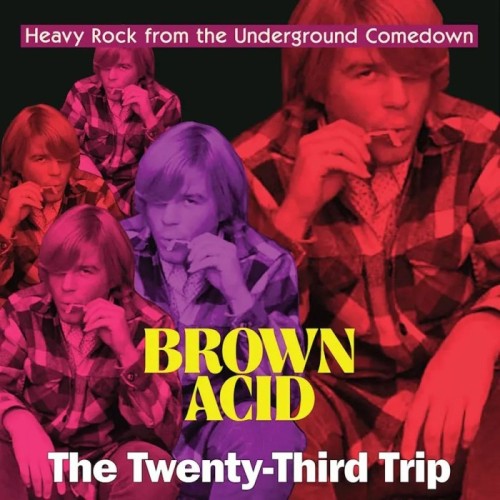 Various Artists - Brown Acid - The Twenty-Third Trip