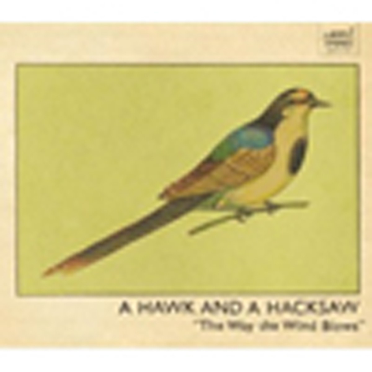 A Hawk And A Hacksaw - Way The Wind Blows