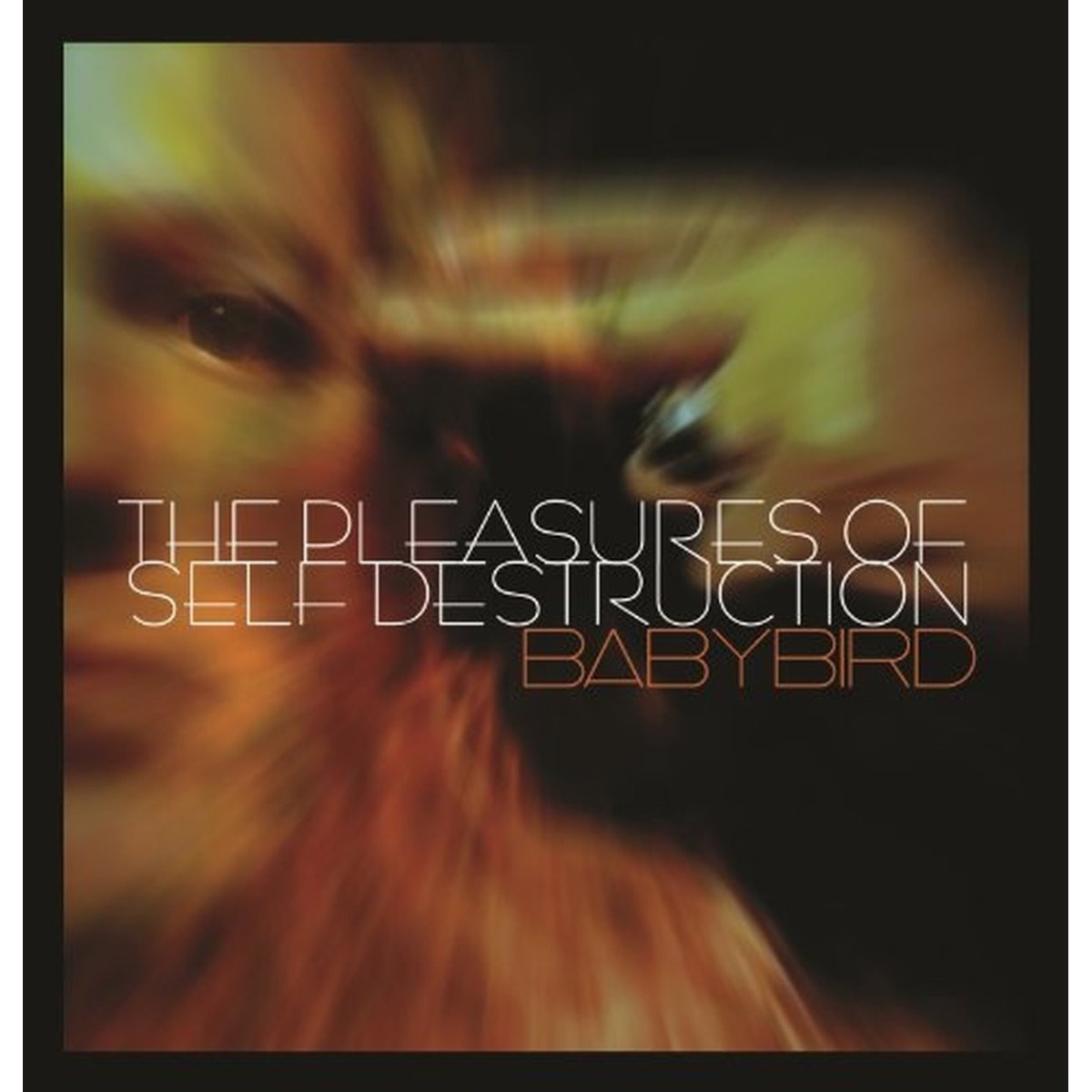 Babybird - Pleasures Of Self Destruction