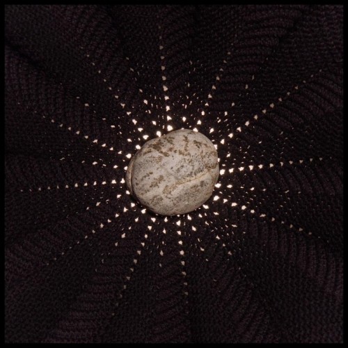 Nat Baldwin - In The Hollows